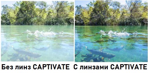 captivate_1_2.jpg